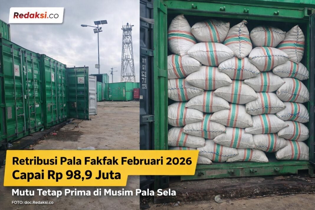 Retribusi Pala Fakfak Februari 2026 Capai Rp 98,9 Juta, Mutu Tetap Prima di Musim Pala Sela. Retribusi Pala Fakfak Februari 2026 Capai Rp 98,9 Juta, Mutu Tetap Prima di Musim Pala Sela.
