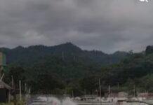 Tambak Udang Vaname Diduga Ilegal di Kalukku, GMM Desak Penutupan dan Lakukan Sidak