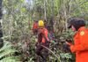Remaja 14 Tahun Hilang di Hutan, Tim SAR Gabungan Kerahkan Drone Thermal dan Lakukan Penyisiran Intensif