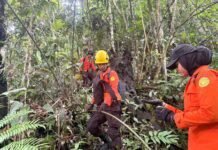 Remaja 14 Tahun Hilang di Hutan, Tim SAR Gabungan Kerahkan Drone Thermal dan Lakukan Penyisiran Intensif