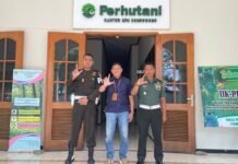 Perhutani KPH Bondowoso Perkuat Sinergi dengan Subdenpom demi Kelestarian Hutan Berkelanjutan
