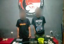 Dari Jalanan hingga ke Kebun Tersembunyi: Polresta Tidore Gulung Jaringan ‘Petani’ dan Pengedar Ganja Lokal