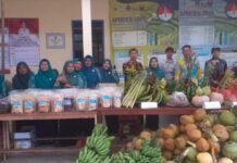 Potensi Besar Desa Sidamulya Ciemas, Surga Pesisir di Selatan Sukabumi