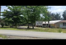 SDN 21 Pangkatan Perlu Diperhatikan