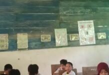 Diduga “Tak Pernah Mengajar”, Seorang Oknum Guru Diterpa Isu Terima Gaji Tanpa Kinerja di SDN 014 Saluang