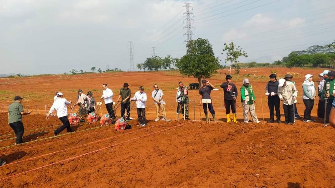 TNI-Polri dan Petani Bersatu di Purwakarta, Ribuan Hektare Jagung Hibrida Disiapkan untuk Ketahanan Pangan TNI-Polri dan Petani Bersatu di Purwakarta, Ribuan Hektare Jagung Hibrida Disiapkan untuk Ketahanan Pangan