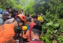 Geger di Hutan Tutar! Warga Hilang Sehari Penuh Ditemukan Selamat, Tim SAR Polewali Mandar Bergerak Cepat