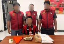 Ditresnarkoba Polda Malut Tangkap Pemuda Pembawa Ganja di Halmahera Tengah