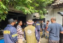 Bareskrim dan PPNS Kemenhut Geledah Gudang Satwa Dilindungi di Bekasi, 11 Sanca Hijau Papua Disita*