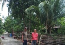 Jalan Rabat Beton Yang Rusak di Lorong Dusun Adil Mulai Di Perbaiki,