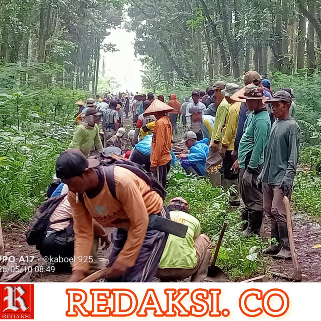 Semangat Gotong Royong Hampir 600 Warga Sidomulyo, Jalan Usaha Tani Kini Dipaving Secara Swadaya Semangat Gotong Royong Hampir 600 Warga Sidomulyo, Jalan Usaha Tani Kini Dipaving Secara Swadaya