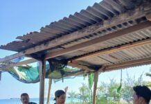 POKDARWIS PUSAKA TAMAN AYU MENJERIT: Pantai Endok Potensial, Namun Terabaikan Pemerintah
