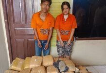 Mobil Pengangkut 112 Kg Ganja Kecelakaan di Taput, Dua Kurir Ditangkap