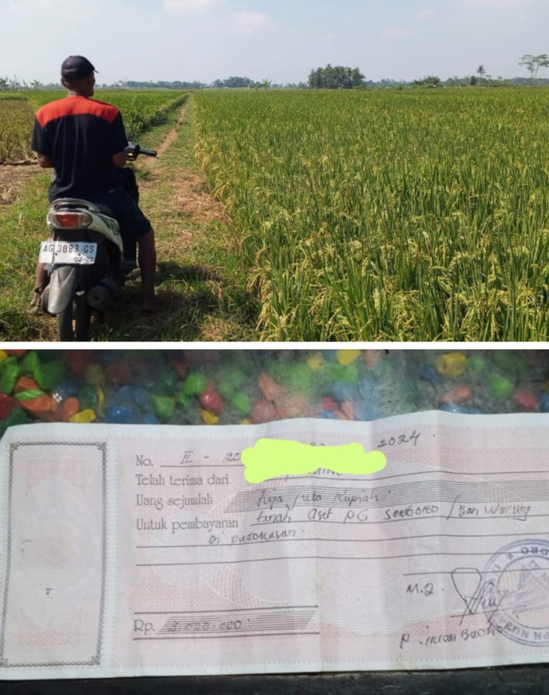 Dugaan Penyewaan Lahan Aset PG Semboro Tanpa Kewenangan Resmi, Alur Pembayaran Sewa Mulai Terungkap Dugaan Penyewaan Lahan Aset PG Semboro Tanpa Kewenangan Resmi, Alur Pembayaran Sewa Mulai Terungkap