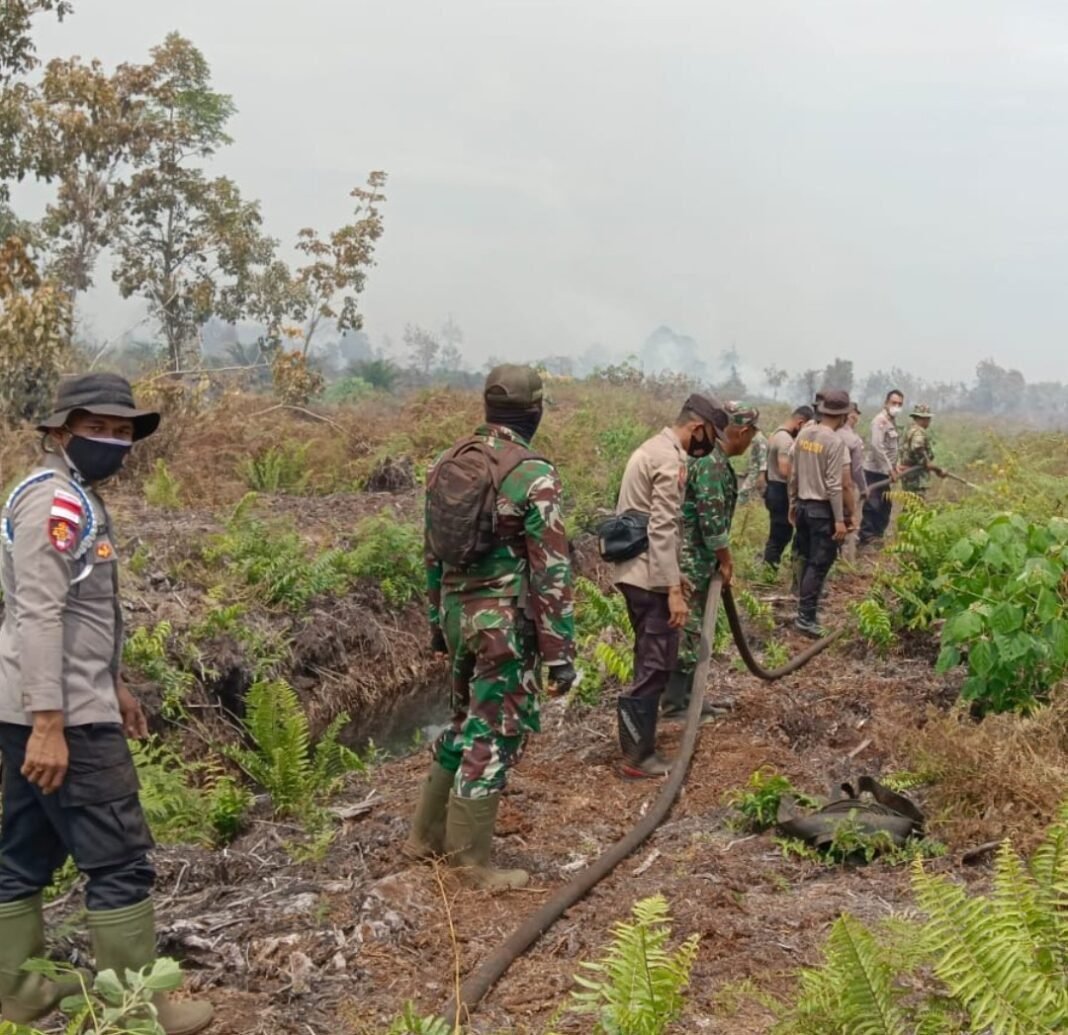 Polres Aceh Barat Tingkatkan Penanganan Karhutla, Kapolres Tegaskan Personil Siaga di Lokasi Rawan Polres Aceh Barat Tingkatkan Penanganan Karhutla, Kapolres Tegaskan Personil Siaga di Lokasi Rawan
