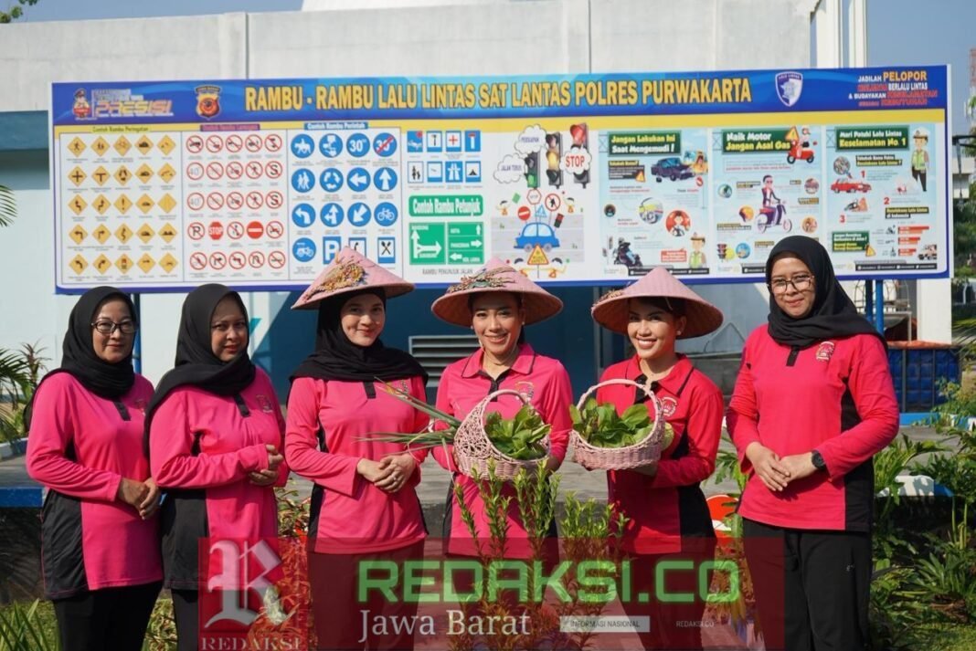 Manfaatkan Lahan Produktif, Kapolres Purwakarta dan Bhayangkari Panen Raya Sayur-Ikan Manfaatkan Lahan Produktif, Kapolres Purwakarta dan Bhayangkari Panen Raya Sayur-Ikan