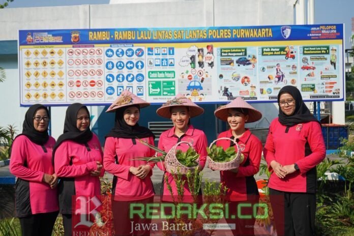 photostudio_1781004772915