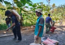 Terbiasa Karena Kebersamaan, Warga dan Satgas TMMD Kompak Melangsir Semen Demi Jalan Impian Desa Watuduwur
