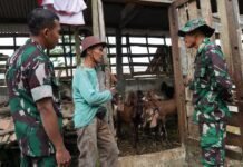 Satgas TMMD Reguler 129 Kodim 0708 Purworejo Belajar Ilmu Peternakan Kambing