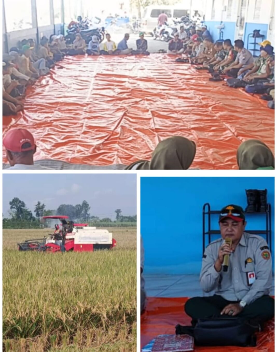 Panen Perdana dengan Combine Harvester, Poktan Ngudi Makmur II Gelar Tasyakuran Panen Perdana dengan Combine Harvester, Poktan Ngudi Makmur II Gelar Tasyakuran