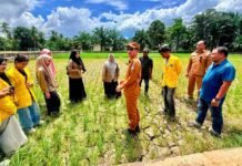 Bupati Tarmizi Serahkan Bantuan Pompa Air Bagi Petani di Gampong Cot Amun & Gampong Masjid Baro Samatiga