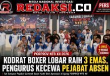 Kodrat Boxer Lobar Raih 3 Emas PORPROV NTB XII, Pengurus Kecewa Pejabat Absen