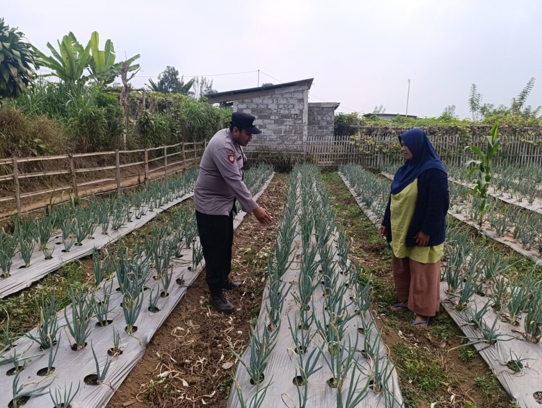 Polri Dampingi program Pekarangan pangan bergizi di Desa pungging Polri Dampingi program Pekarangan pangan bergizi di Desa pungging