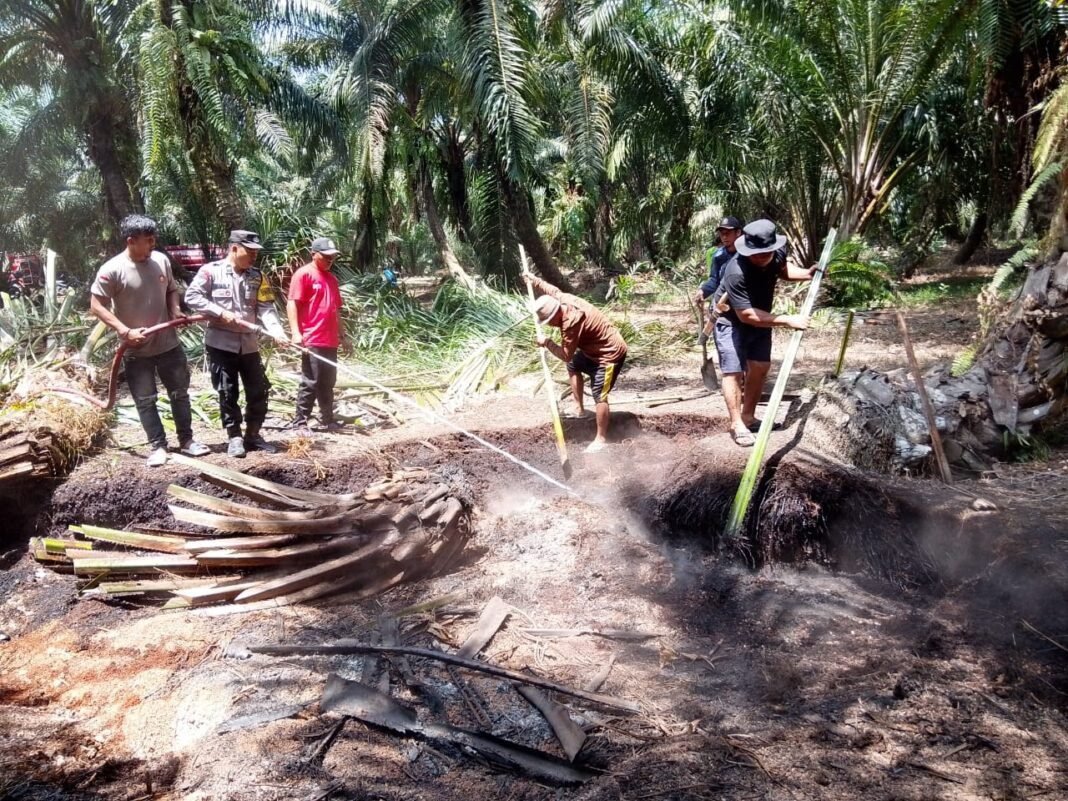 Bhabinkamtibmas Bergerak Cepat, Kebakaran Kebun Sawit di Kayu Calla Berhasil Dipadamkan Sebelum Meluas Bhabinkamtibmas Bergerak Cepat, Kebakaran Kebun Sawit di Kayu Calla Berhasil Dipadamkan Sebelum Meluas