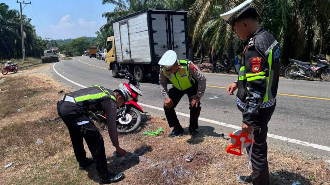 Maut di Trans Sulawesi Mateng: Mobil Diduga Hilang Kendali, Pengendara Motor Tewas Maut di Trans Sulawesi Mateng: Mobil Diduga Hilang Kendali, Pengendara Motor Tewas