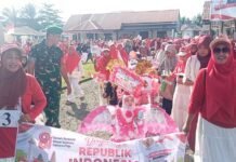 Meriahkan HUT RI ke 81, Pawai Karnaval di Ikuti Ribuan Siswa Tingkat TK dan SD di Kecamatan Meureubo
