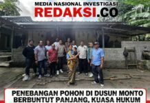 Penebangan Pohon di Dusun Monto Berbuntut Panjang, Kuasa Hukum Ahli Waris Turun ke Lokasi