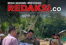 Ahli Waris Pertanyakan Dasar Hukum Penebangan Pohon di Tanah Warisan