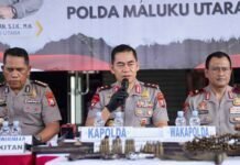 Kesadaran Masyarakat Meningkat, 32 Pucuk Senpi Ilegal Diserahkan ke Polda Malut