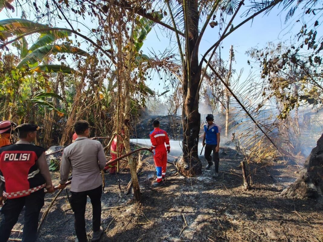Komitmen Tanpa Henti, Polres Halsel Hadir Terdepan Tangani Karhutla  Komitmen Tanpa Henti, Polres Halsel Hadir Terdepan Tangani Karhutla Â