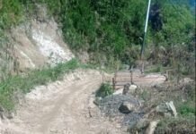 DDS Datubaringan Disorot: Proyek Diduga Fiktif hingga Mangkrak, Rp185 Juta Ketahanan Pangan Dipertanyakan