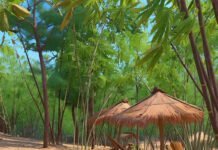 Desa Caringin Nunggal Waluran, Potensi Bambu dan Ekowisata di Selatan Sukabumi
