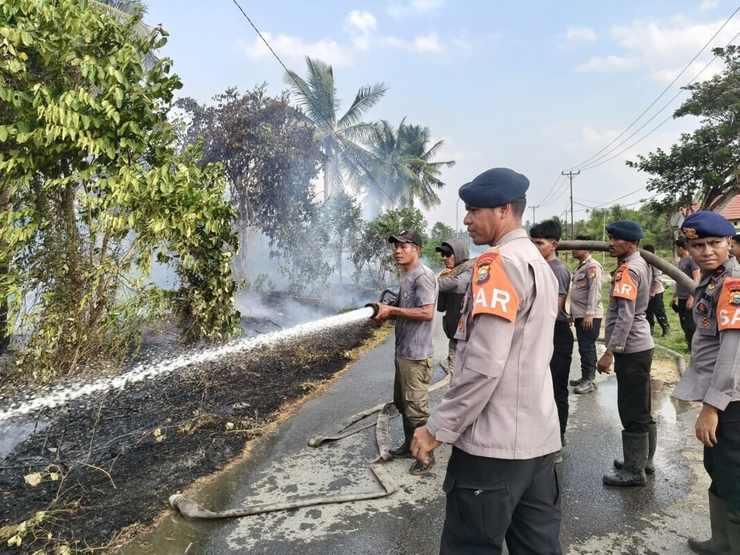 Brimob dan Damkar Sigap Tangani Kebakaran Lahan di Halmahera Timur Brimob dan Damkar Sigap Tangani Kebakaran Lahan di Halmahera Timur