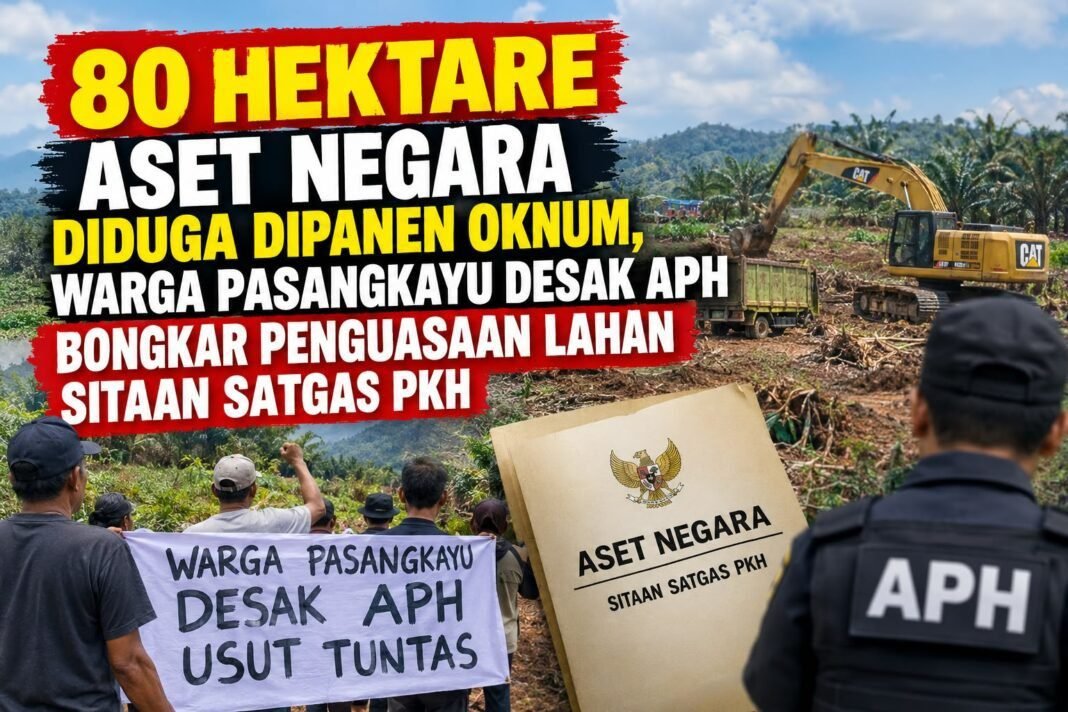 Aset Negara Diduga Jadi ‘Sapi Perah’, 80 Hektare Lahan Sitaan Satgas PKH Dipanen Oknum Aset Negara Diduga Jadi ‘Sapi Perah’, 80 Hektare Lahan Sitaan Satgas PKH Dipanen Oknum