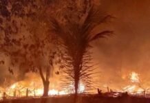 Kebakaran Lahan Merembet ke Pemukiman di Desa Bekenggasu, Warga dan Damkar Konsel Berjibaku Padamkan Api