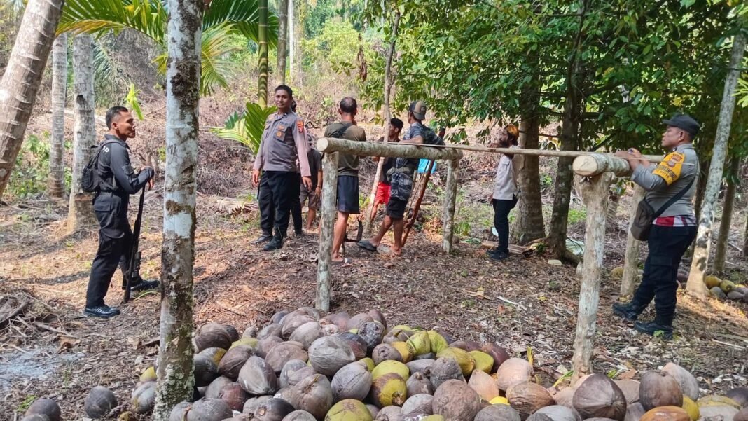 Tiga Warga Diduga Hendak Diserang OTK di Kebun, Polisi Imbau Masyarakat Tetap Tenang Tiga Warga Diduga Hendak Diserang OTK di Kebun, Polisi Imbau Masyarakat Tetap Tenang