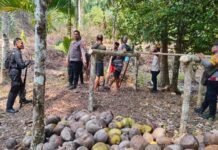Tiga Warga Diduga Hendak Diserang OTK di Kebun, Polisi Imbau Masyarakat Tetap Tenang
