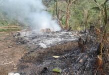 Rumah Pasangan Lansia Berkebutuhan Khusus di Mambi Ludes Terbakar, Kini Tidur di Pondok Kebun