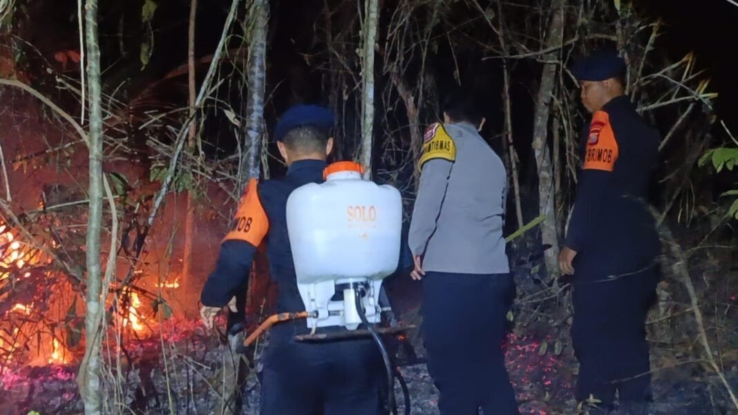 Brimob dan Polsek Jailolo Selatan Padamkan Karhutla di Desa Domato Brimob dan Polsek Jailolo Selatan Padamkan Karhutla di Desa Domato