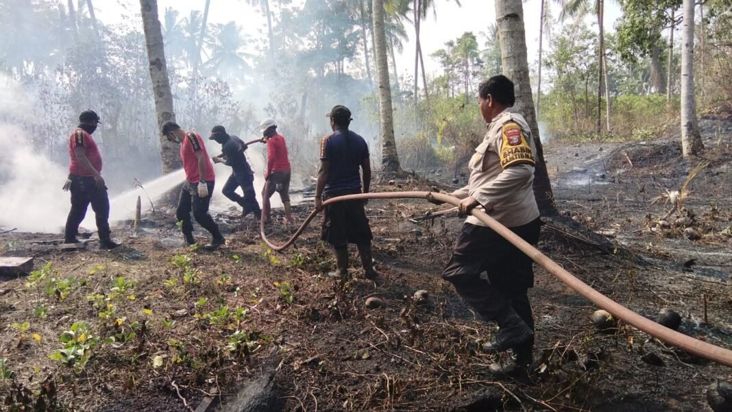 Gerak Cepat Tim Gabungan Padamkan Kebakaran Kebun Kelapa di Takome Gerak Cepat Tim Gabungan Padamkan Kebakaran Kebun Kelapa di Takome
