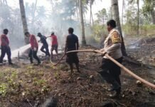 Gerak Cepat Tim Gabungan Padamkan Kebakaran Kebun Kelapa di Takome Â