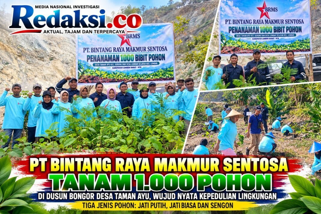 PT Bintang Raya Makmur Sentosa Tanam 1.000 Pohon, Libatkan Warga Bongor PT Bintang Raya Makmur Sentosa Tanam 1.000 Pohon, Libatkan Warga Bongor