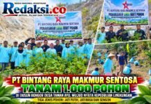 PT Bintang Raya Makmur Sentosa Tanam 1.000 Pohon, Libatkan Warga Bongor